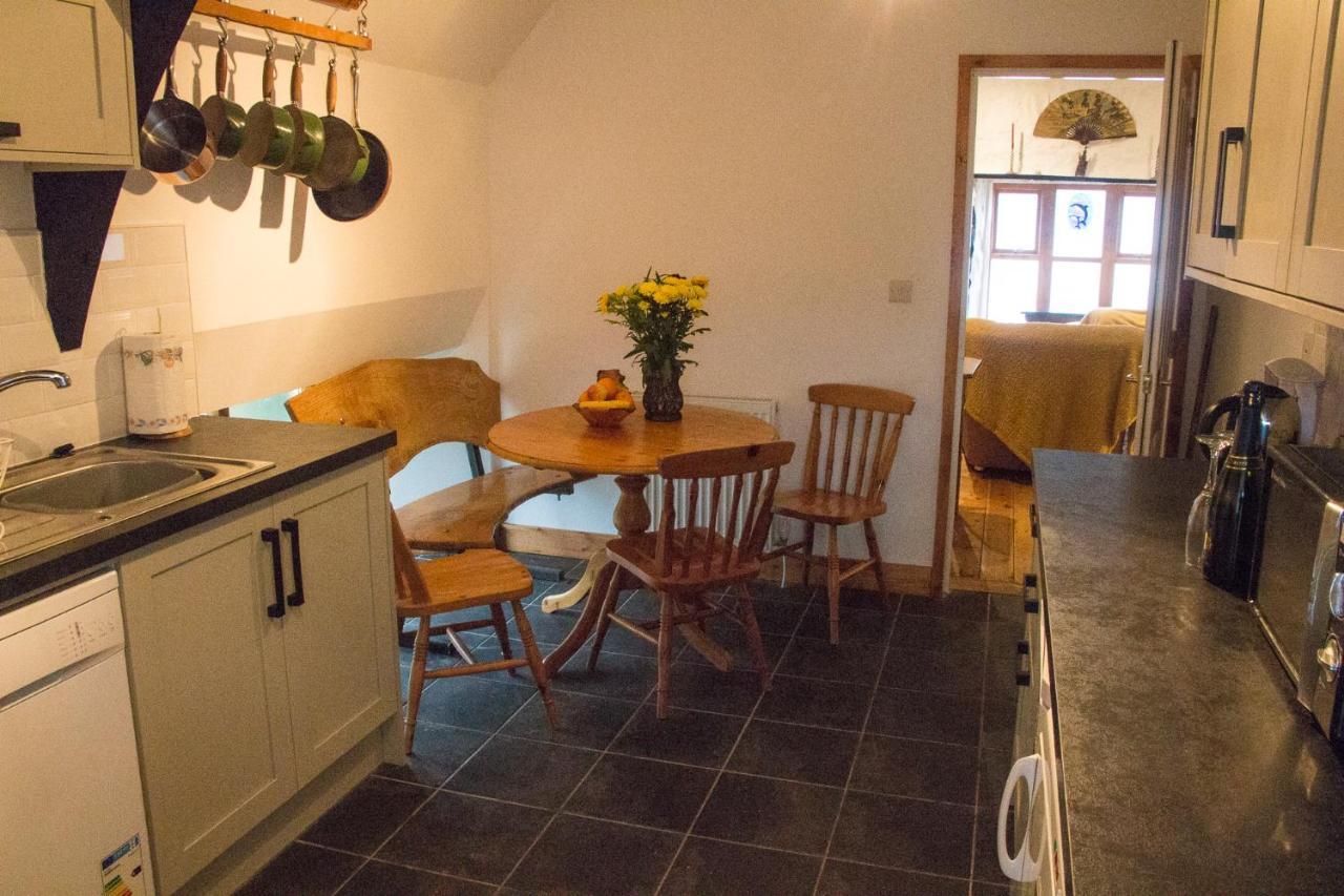James John Hamilton House And Backpacker Hostel Fishguard Esterno foto